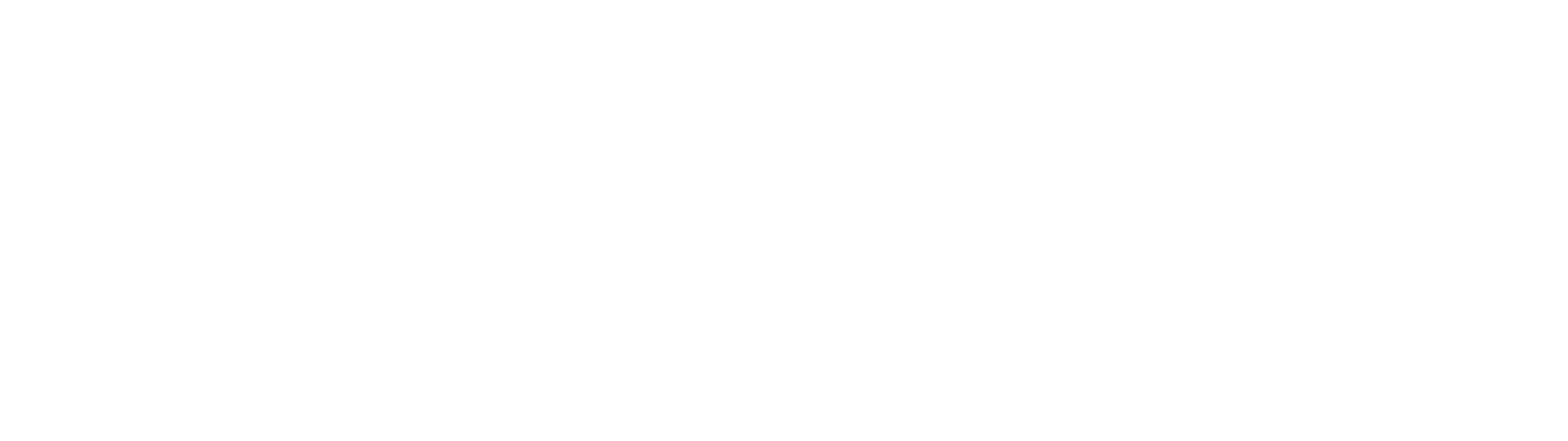 Globe Marketing Logo